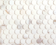 Calacatta Gold Penny Round